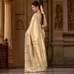 Kanchivaram Saree, Tamil Nadu SSKS0013
